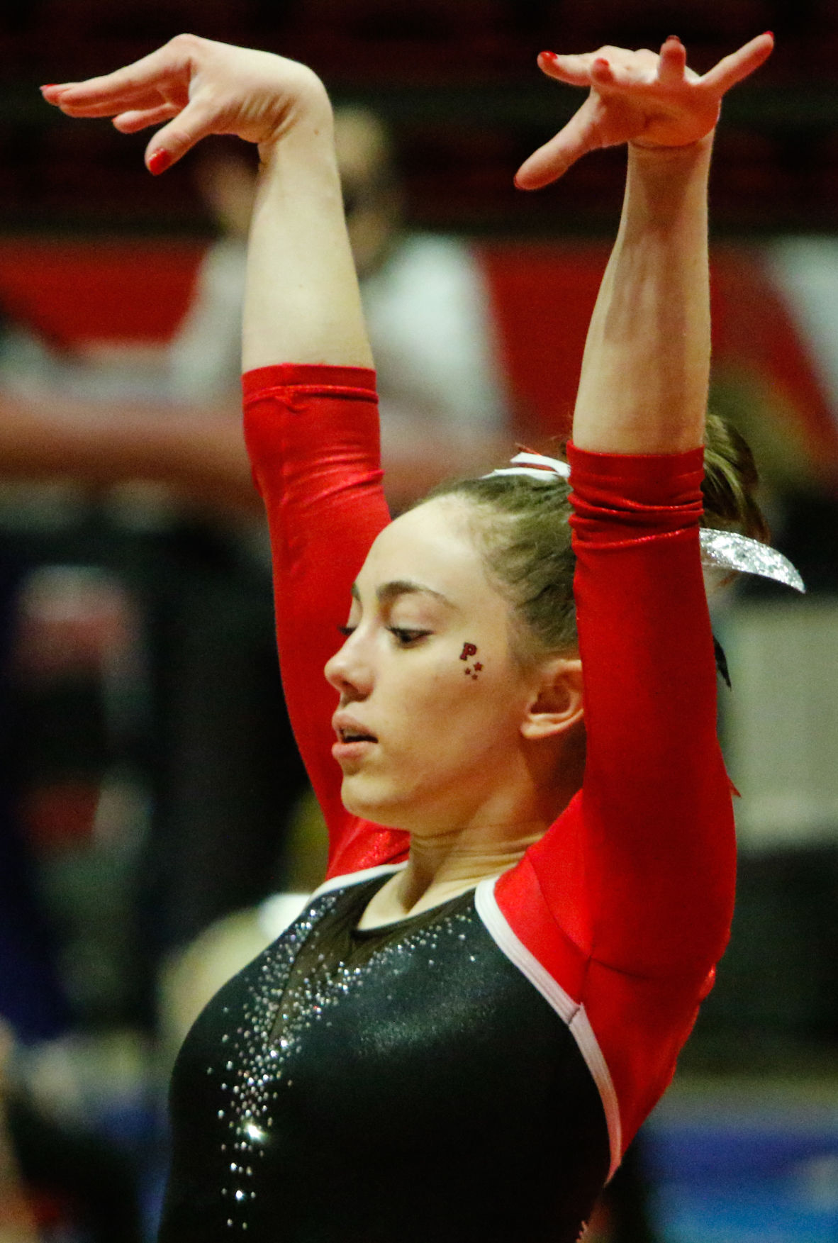 Gallery: Gymnastics state finals